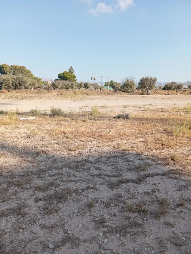 Terreno rural cultivable cerca del pueblo de Mutxamel — 6