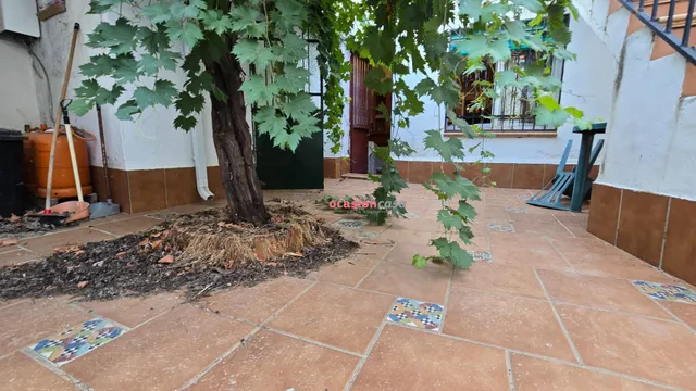 CASA CON TEJADO NUEVO EN VENTA - foto 2
