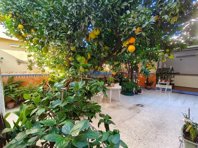 Casa mata en una sola planta con amplio garaje y precioso patio andaluz en el tomillar — 4