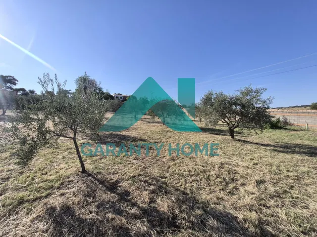 PARCELA EN VENTA EN POLÍGONO GANADERO (CÁCERES) ✨ - foto 5