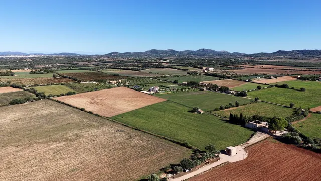 Finca rústica en Manacor con proyecto de ejecución — 8