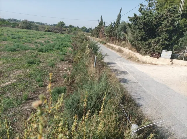 SE VENDE TERRENO RÚSTICO AGRICOLA PARA CONSTRUIR NUEVO CHALET — 8