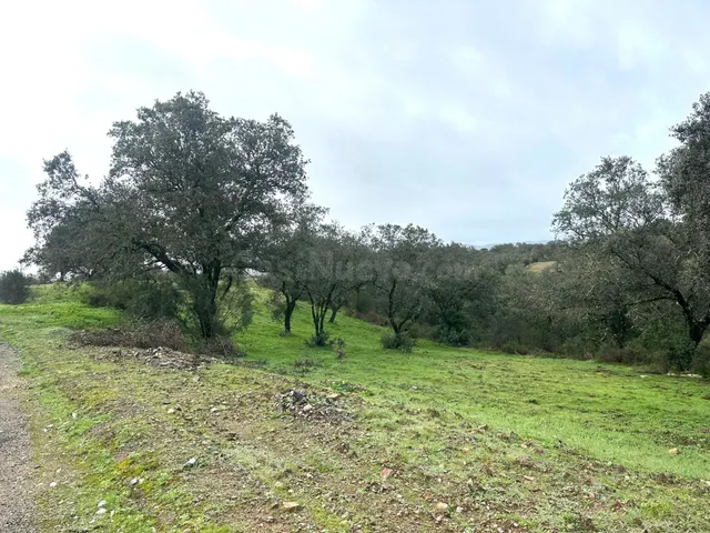 GRAN OPORTUNIDAD EN LAGOS DEL SERRANO (GUILLENA)