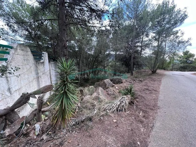 Oportunidad en Serra: parcela urbana de 827 m2 en un entorno - foto 3