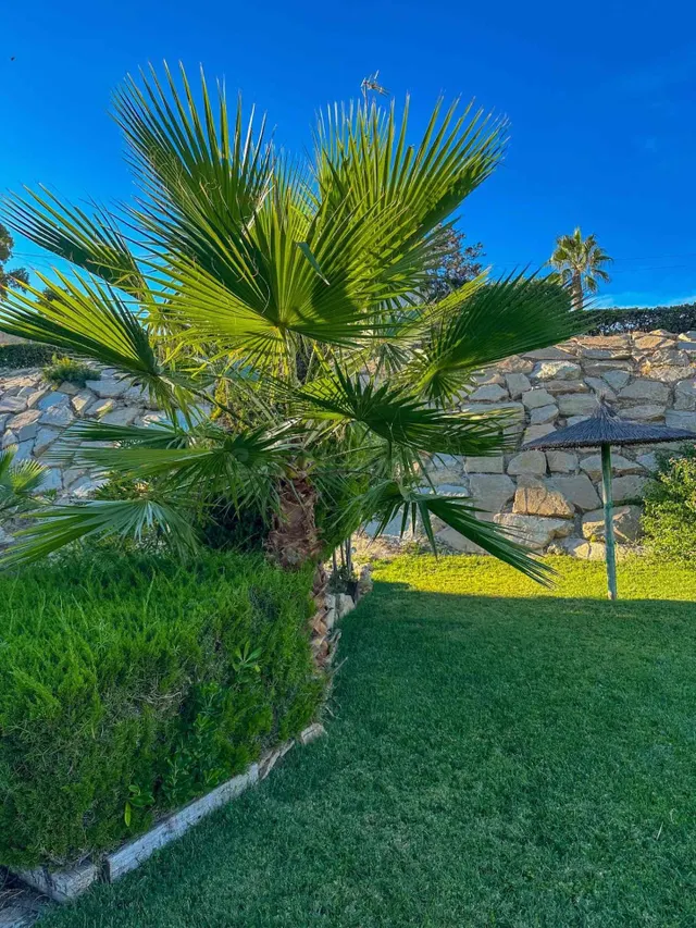 ALQUILER EN VENTA LANUZA · EL CAMPELLO — 3