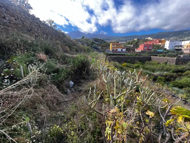 FINCA RÚSTICA CON ESTANQUE Y CUARTO DE APEROS EN ICOD DE LOS VINOS — 15