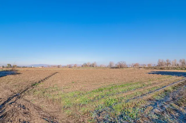 Excelente finca de regadío en la Vega de Granada, con acceso directo — 16