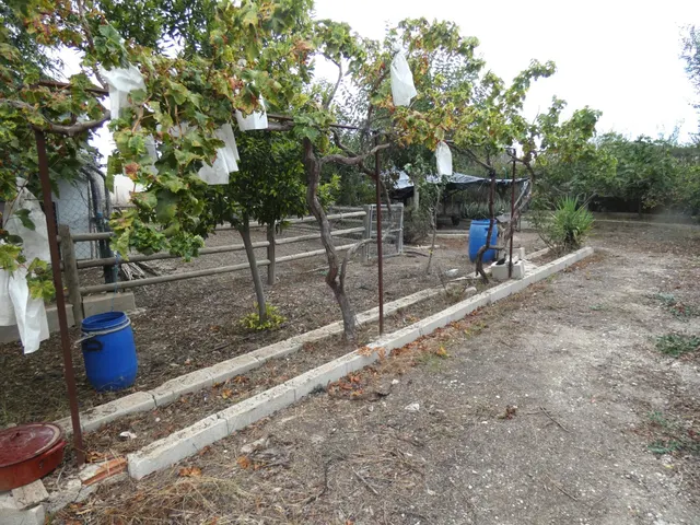 +Oportunidad Única: Casa para Reformar en Entorno Rural y Ecológico+ — 9
