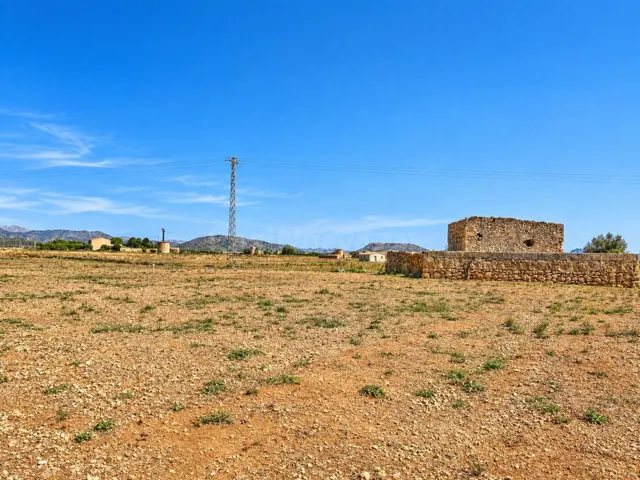 Finca rústica de 14.628 m2 con construcción para reformar en - foto 3
