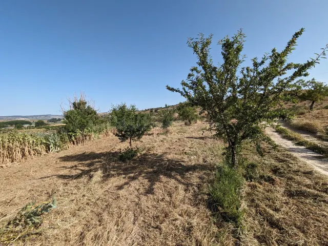 Terreno urbano 58m² en venta - CARRETERA — 3