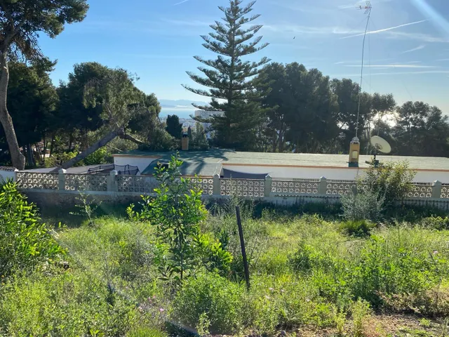 El Pinar - Parcela para nueva vivienda — 6