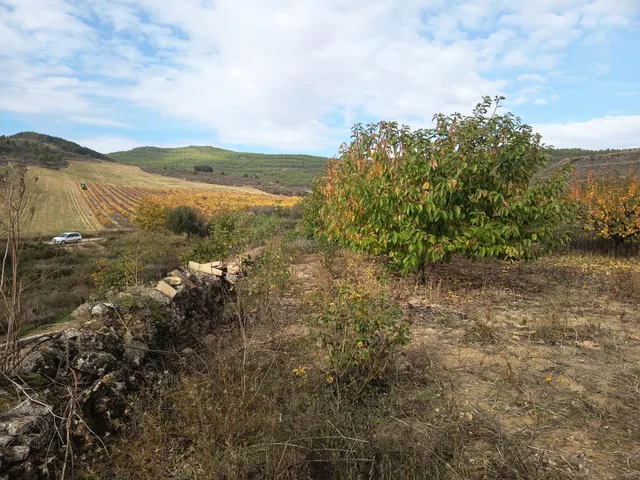 Casa con Huerto. Sada — 38