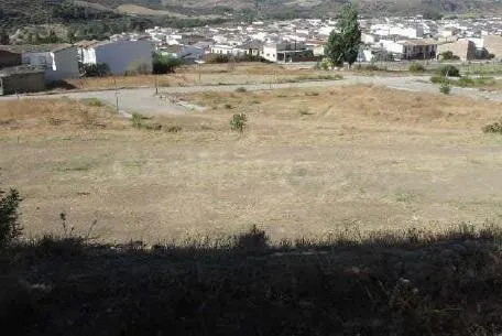 AMPLIO TERRENO URBANO NO CONSOLIDADO - ALGODONALES - foto 2