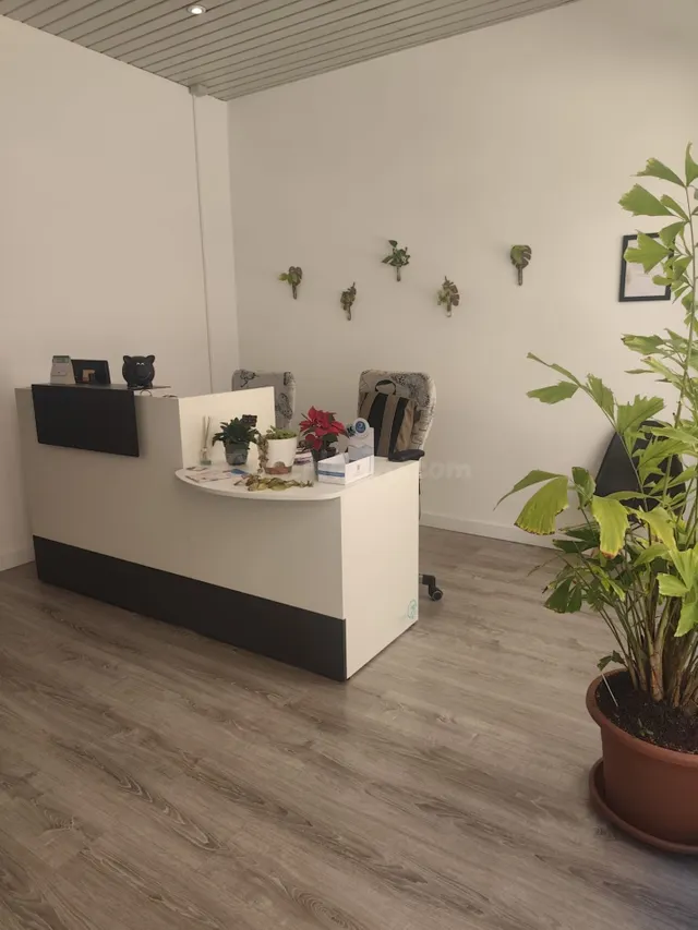 Traspaso de Clinica Estética en Majadahonda - foto 2