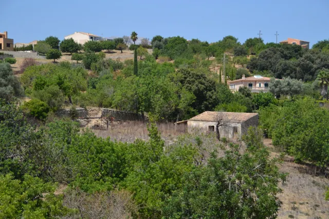 Finca rústica en Campanet — 19