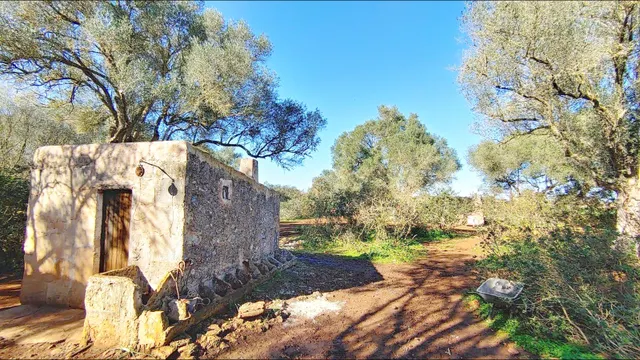 Enorme terreno boscoso con proyecto de un chalet y piscina en Felanitx, Mallorca — 10