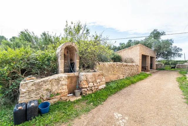 Magnifica finca rústica en la zona de Porreres. — 21