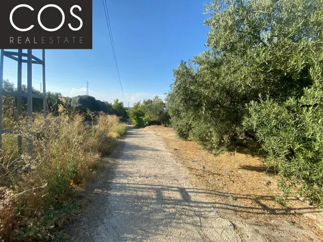 Parcela 40m² en venta - Urbanizacion azahar — 16