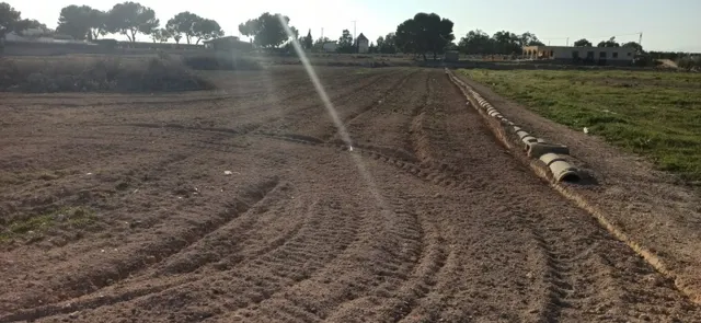 PARCELA EN VALVERDE — 20