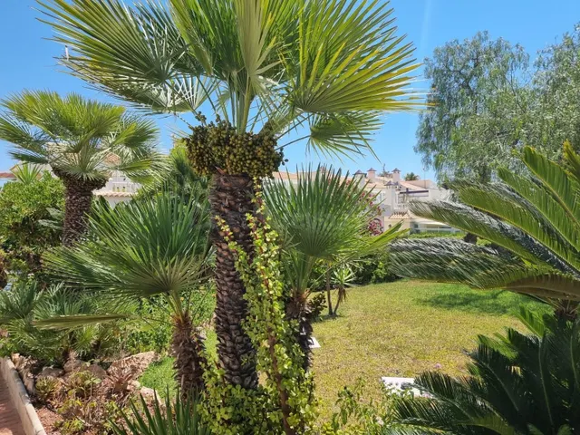 Apartamento 2 habitaciones 68m² en venta - La siesta — 5