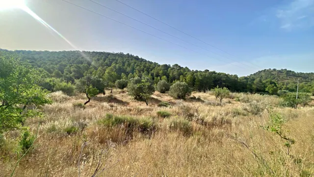 FINCA DE 6 Hectáreas con CASA CORTIJO para reformar — 10