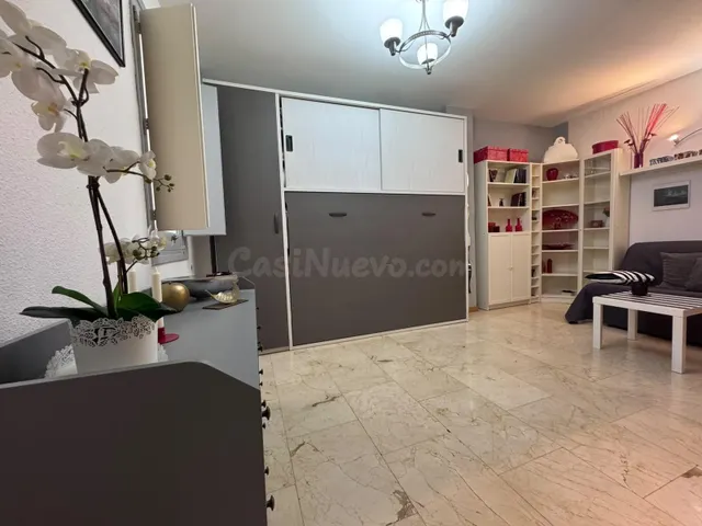 Estudio en alquiler en Calle José Ortega y Gasset, Lista, Di - foto 2