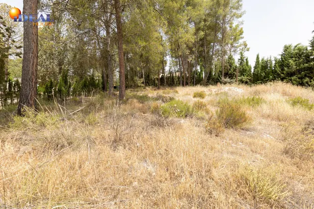 EXCLUSIVO TERRENO EN VENTA EN ALBOLOTE — 27