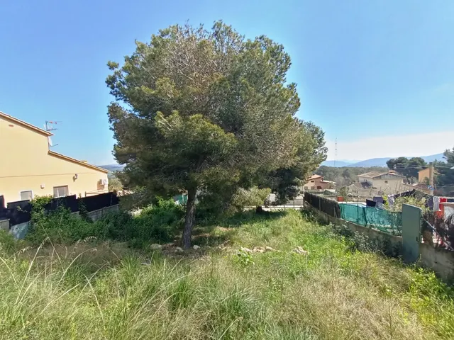 Terreno vallado en la entrada de la urbanización La Cogullada de Canyelles — 5