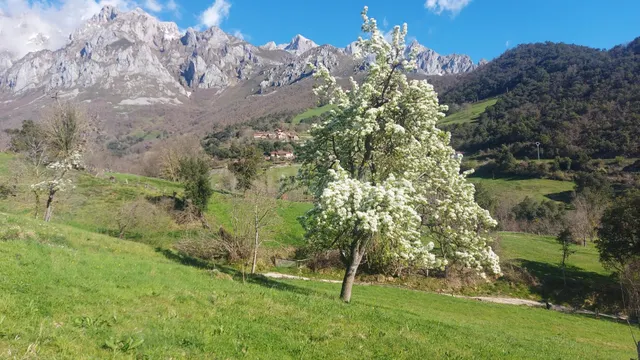 Venta de terreno rústico urbanizable en Liébana - foto 2