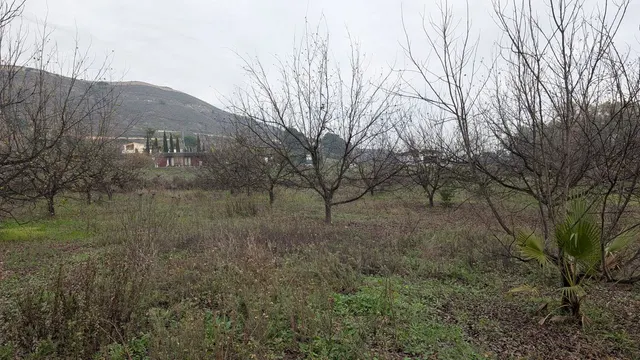 Parcela en venta - Puerto Sol-Los Almendros-El Tomillar — 14