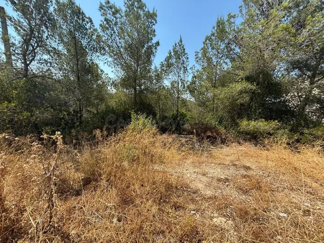 Parcela en Olivella, Les Colines - foto 4