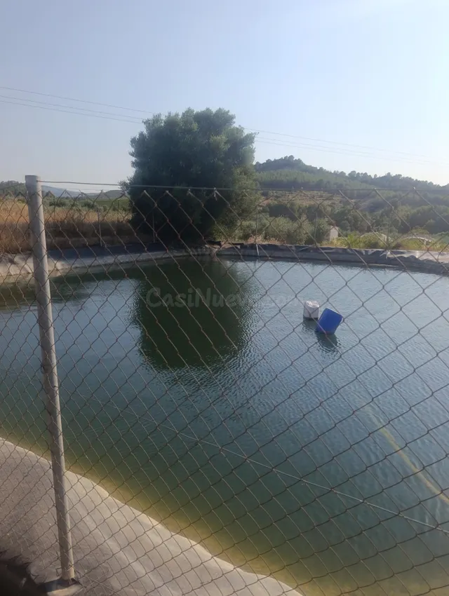 Casa rústica con porche y patio en Paraje Retamar, Cehegín – - foto 3