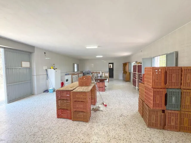 Finca rústica con cultivos y pozos propios en Vélez-Málaga — 18