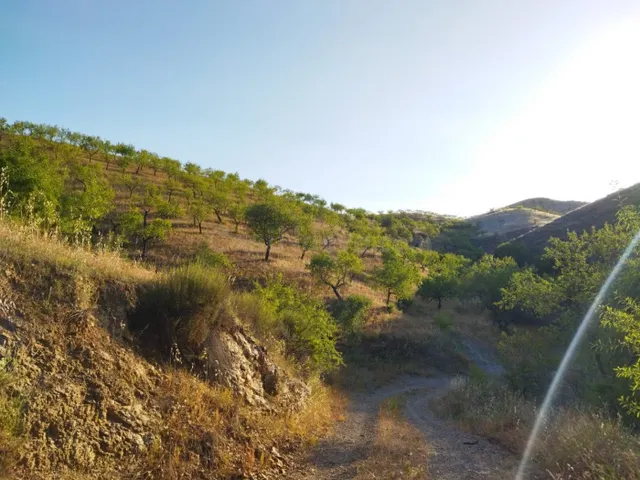 Casa con terreno en Cabezo de la Jara, Puerto Lumbreras-Murc - foto 4