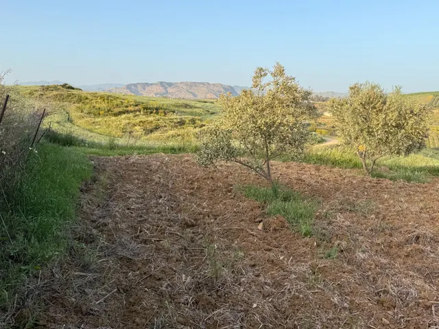 TERRENO RURAL EN VENTA — 5