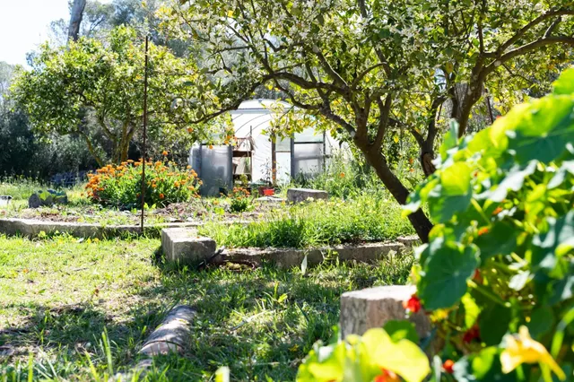 Magnífica Eco-casa de campo a las afueras de Sineu - foto 4