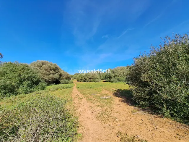 Parcela en venta - San Roque Pueblo - foto 5