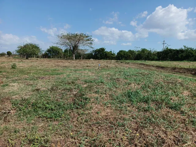 Parcela en venta - Bayunca - foto 5