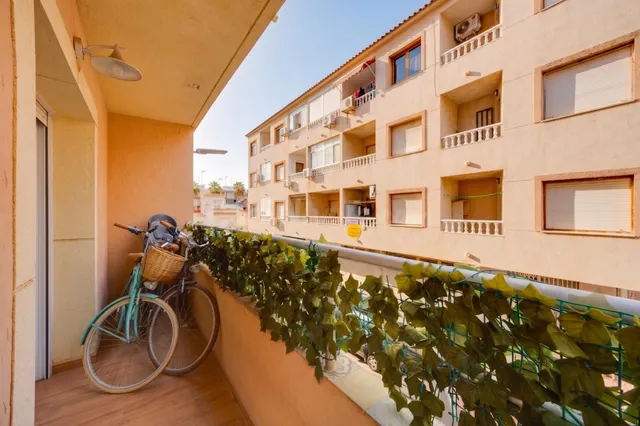 Apartamento de 3 dormitorios y 2 baños en Torrevieja (playa de los naufragos) — 11
