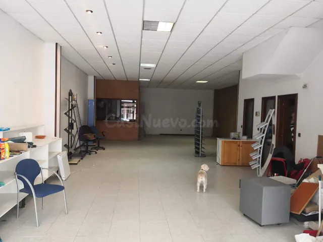 Local comercial en Rúa Río Anllóns - foto 3
