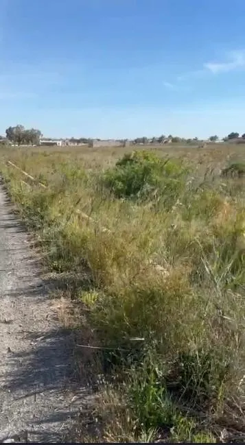 Terreno rustico en Daimés - foto 2