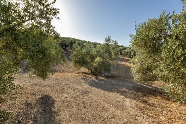 Terreno rural en venta - Alfacar — 26