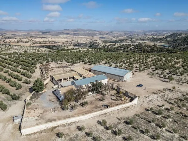 IMPRESIONANTE OPORTUNIDAD DE INVERSIÓN EN ALAMEDILLA!! — 8