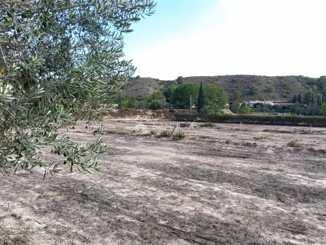 SE VENDE CHALET EN BUEN ESTADO EN MONFORTE DEL CID EN LA ZONA DEL FONT DEL LLOP — 36