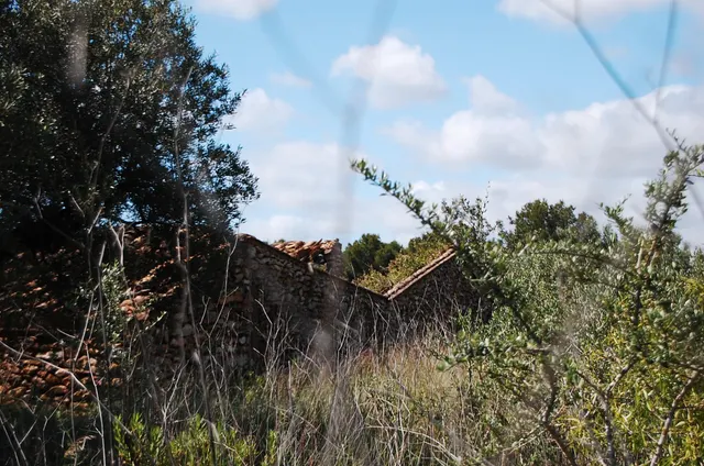 Finca Rústica de 6,5 hectáreas, plana, con casa de campo de 150 M2 — 27