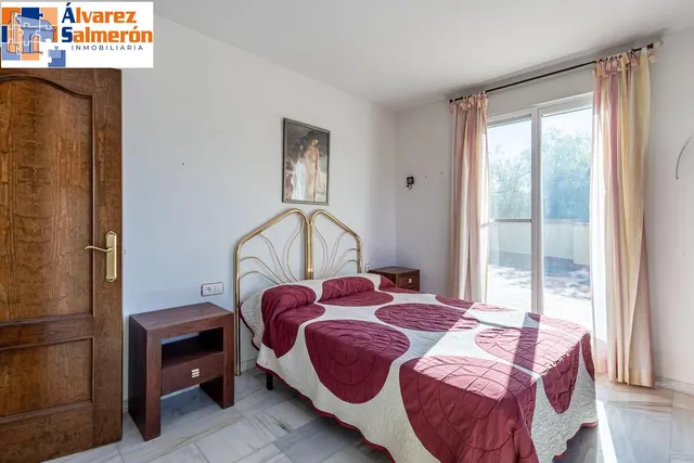Chalet en los Chopos, Las Gabias — 30