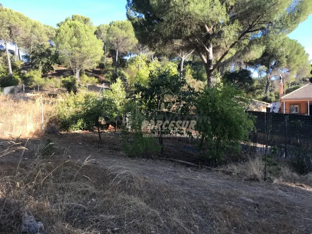 ZONA TORRE HORIA-TRASSIERRA -Parcela de terreno con pozo com - foto 2