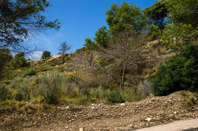 ¡PARCELA URBANA EN LA EMPEDROLA (ALICANTE)! - foto 4