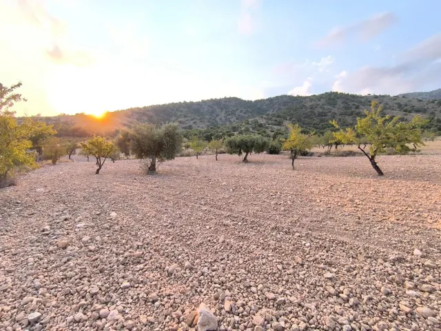 Finca en Pinoso, Alicante - Terreno con vistas a la montaña