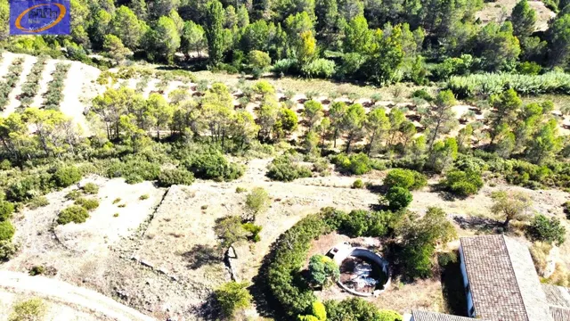 EN VENTA FINCA DE PASTOS EN YATOVA - foto 3